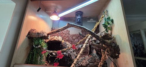Large vivarium with water - large,